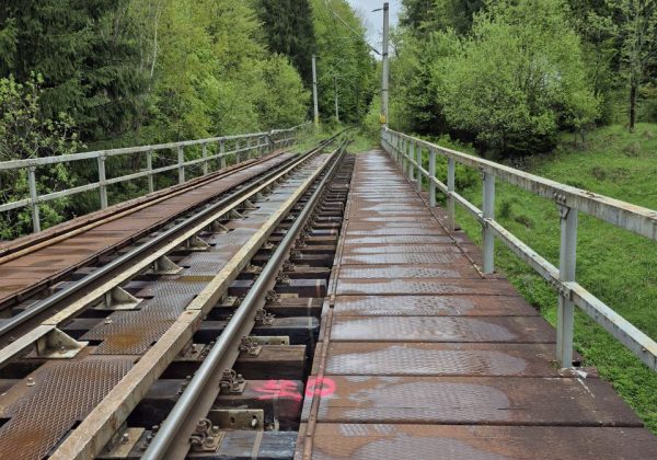 Lucrări în teren Cale ferată Apahida - Suceava, Sectiunea 2: Ilva Mică - Pojorâta