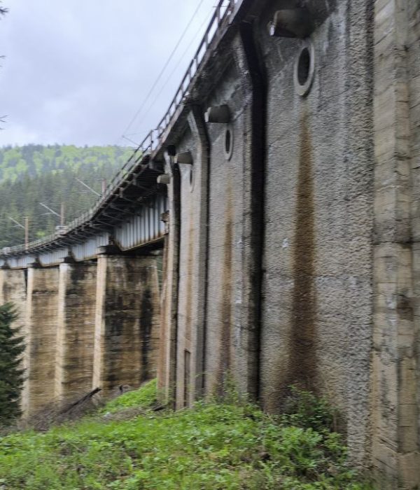 Studiu de Fezabilitate și Proiect Tehnic pentru modernizarea liniei de cale ferată Apahida – Suceava, Subsecțiunea 2: Ilva Mică - Pojorâta
